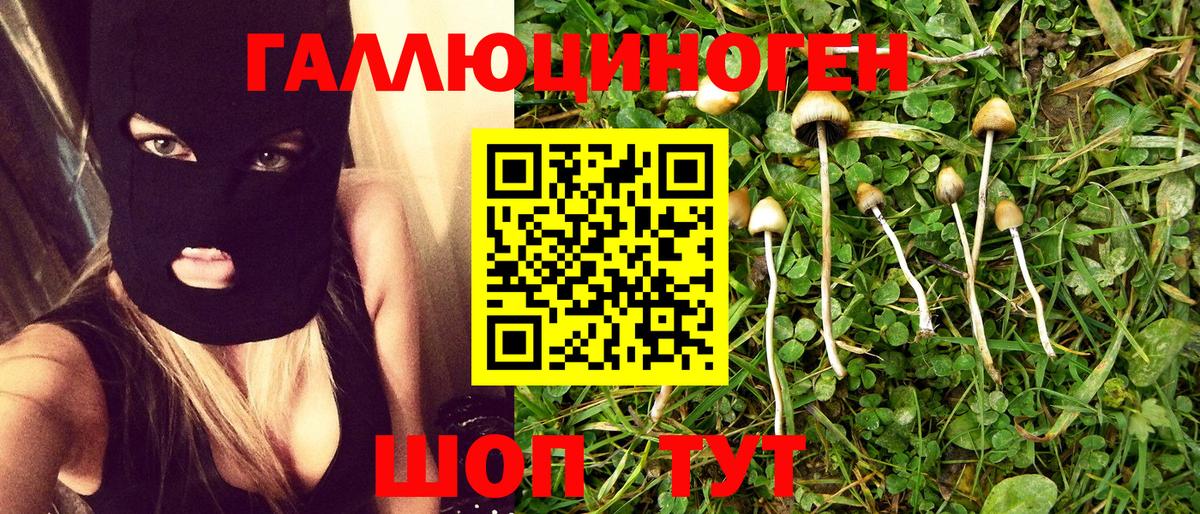 Псилоцибиновые грибы GOLDEN TEACHER  Вход с VPN  Людиново 